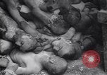 Image of Allies invade Germany Germany, 1945, second 23 stock footage video 65675032958
