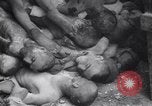 Image of Allies invade Germany Germany, 1945, second 25 stock footage video 65675032958