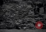 Image of Allies invade Germany Germany, 1945, second 29 stock footage video 65675032958