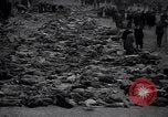 Image of Allies invade Germany Germany, 1945, second 30 stock footage video 65675032958