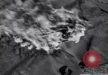 Image of Allies invade Germany Germany, 1945, second 59 stock footage video 65675032958