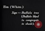 Standbild General Hugh L Scott United States USA, 1931, aus Sekunde 16 historischem Filmmaterial Videoclip 65675033107