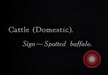 Standbild General Hugh L Scott United States USA, 1931, aus Sekunde 26 historischem Filmmaterial Videoclip 65675033122