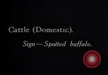 Standbild General Hugh L Scott United States USA, 1931, aus Sekunde 28 historischem Filmmaterial Videoclip 65675033122