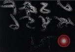 Image of aerial bombing experiments Virginia Capes United States USA, 1921, second 1 stock footage video 65675033213