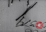 Image of Hungarian Revolution Hungary, 1956, second 1 stock footage video 65675033223