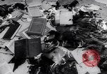 Image of Hungarian Revolution Hungary, 1956, second 12 stock footage video 65675033223