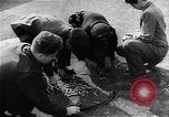 Image of Hungarian Revolution Hungary, 1956, second 3 stock footage video 65675033228