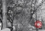 Image of Hungarian Revolution Hungary, 1956, second 24 stock footage video 65675033228