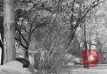 Image of Hungarian Revolution Hungary, 1956, second 25 stock footage video 65675033228