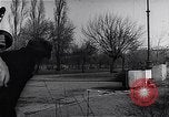 Image of Hungarian Revolution Hungary, 1956, second 51 stock footage video 65675033228