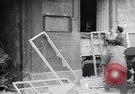 Image of burning books during the Hungarian Revolution Hungary, 1956, second 13 stock footage video 65675033230