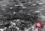 Image of burning books during the Hungarian Revolution Hungary, 1956, second 22 stock footage video 65675033230