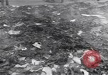 Image of burning books during the Hungarian Revolution Hungary, 1956, second 23 stock footage video 65675033230
