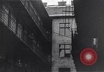 Image of burning books during the Hungarian Revolution Hungary, 1956, second 45 stock footage video 65675033230