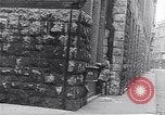 Image of burning books during the Hungarian Revolution Hungary, 1956, second 52 stock footage video 65675033230