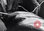 Image of Soviet soldiers during Hungarian Revolution Hungary, 1956, second 25 stock footage video 65675033231