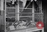 Standbild ungarische Revolution Ungarn, 1956, aus Sekunde 53 historischem Filmmaterial Videoclip 65675033234