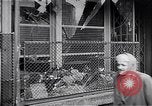 Standbild ungarische Revolution Ungarn, 1956, aus Sekunde 54 historischem Filmmaterial Videoclip 65675033234