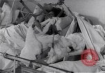 Image Révolution Hongroise Hongrie, 1956, de la seconde 18 séquences d'archives historiques vidéo 65675033235