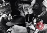 Image of Hungarian Revolution Hungary, 1956, second 48 stock footage video 65675033236