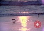 Immagine di Sun Los Angeles California USA, 1976, secondo 1 filmato di repertorio 65675033257