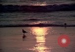 Immagine di Sun Los Angeles California USA, 1976, secondo 3 filmato di repertorio 65675033257
