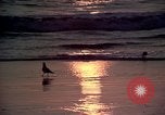 Immagine di Sun Los Angeles California USA, 1976, secondo 4 filmato di repertorio 65675033257