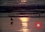 Immagine di Sun Los Angeles California USA, 1976, secondo 5 filmato di repertorio 65675033257
