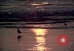 Immagine di Sun Los Angeles California USA, 1976, secondo 6 filmato di repertorio 65675033257