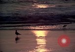 Immagine di Sun Los Angeles California USA, 1976, secondo 7 filmato di repertorio 65675033257