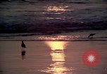 Immagine di Sun Los Angeles California USA, 1976, secondo 8 filmato di repertorio 65675033257