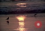Immagine di Sun Los Angeles California USA, 1976, secondo 9 filmato di repertorio 65675033257