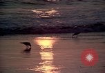 Immagine di Sun Los Angeles California USA, 1976, secondo 10 filmato di repertorio 65675033257