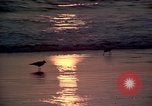 Immagine di Sun Los Angeles California USA, 1976, secondo 11 filmato di repertorio 65675033257