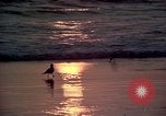 Immagine di Sun Los Angeles California USA, 1976, secondo 12 filmato di repertorio 65675033257