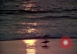 Immagine di Sun Los Angeles California USA, 1976, secondo 14 filmato di repertorio 65675033257