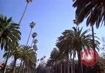 Immagine di Palm strada alberata nel quartiere Los Angeles California USA, 1976, secondo 3 filmato di repertorio 65675033263