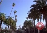 Immagine di Palm strada alberata nel quartiere Los Angeles California USA, 1976, secondo 4 filmato di repertorio 65675033263