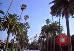 Immagine di Palm strada alberata nel quartiere Los Angeles California USA, 1976, secondo 5 filmato di repertorio 65675033263