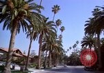 Immagine di Palm strada alberata nel quartiere Los Angeles California USA, 1976, secondo 6 filmato di repertorio 65675033263