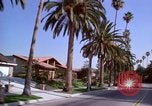 Immagine di Palm strada alberata nel quartiere Los Angeles California USA, 1976, secondo 7 filmato di repertorio 65675033263