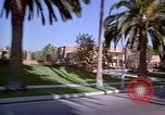 Immagine di Palm strada alberata nel quartiere Los Angeles California USA, 1976, secondo 15 filmato di repertorio 65675033263