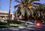Immagine di Palm strada alberata nel quartiere Los Angeles California USA, 1976, secondo 18 filmato di repertorio 65675033263