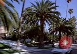 Immagine di Palm strada alberata nel quartiere Los Angeles California USA, 1976, secondo 19 filmato di repertorio 65675033263