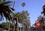 Immagine di Palm strada alberata nel quartiere Los Angeles California USA, 1976, secondo 21 filmato di repertorio 65675033263
