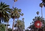 Immagine di Palm strada alberata nel quartiere Los Angeles California USA, 1976, secondo 22 filmato di repertorio 65675033263