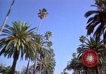 Immagine di Palm strada alberata nel quartiere Los Angeles California USA, 1976, secondo 24 filmato di repertorio 65675033263