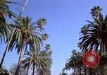 Immagine di Palm strada alberata nel quartiere Los Angeles California USA, 1976, secondo 25 filmato di repertorio 65675033263