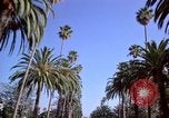 Immagine di Palm strada alberata nel quartiere Los Angeles California USA, 1976, secondo 26 filmato di repertorio 65675033263